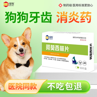狗狗牙齿消炎药口腔溃疡流口水牙龈红肿口臭牙周炎牙痛阿莫西林药