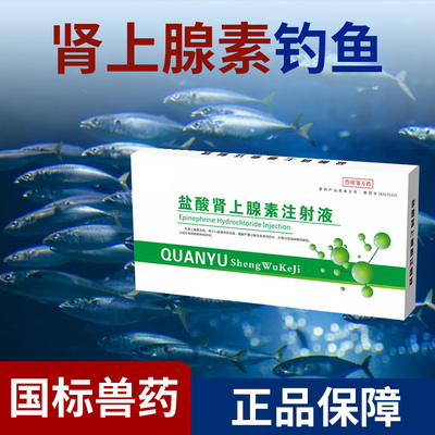 肾上腺素钓鱼兽用急救针强心针