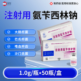 注射用氨苄西林钠猪牛羊肠炎感冒咳嗽腹泻兽用抗菌消炎药孕畜可用