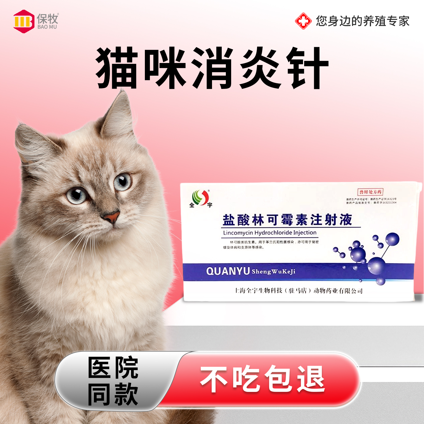 猫咪消炎林可霉素注射液产后消炎