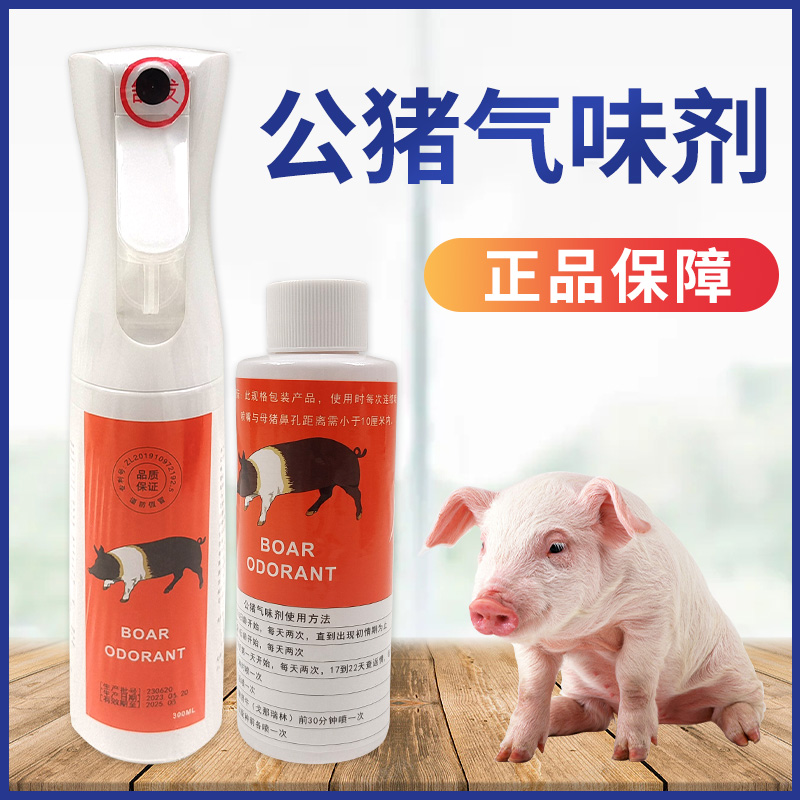 母猪发情喷雾公猪气味济气味剂