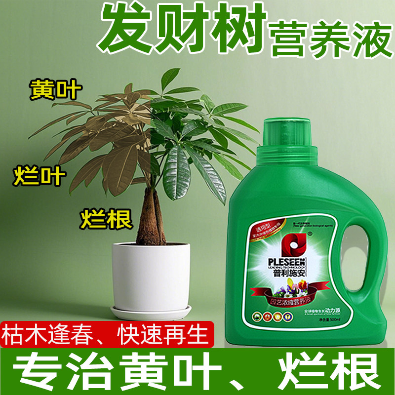 发财树营养液植物通用型花卉室内盆栽植物花卉营养液多肉植物绿植,鲜花速递/花卉仿真/绿植园艺,家庭园艺肥料,淘宝优惠券,粉丝福利购,淘宝优惠卷