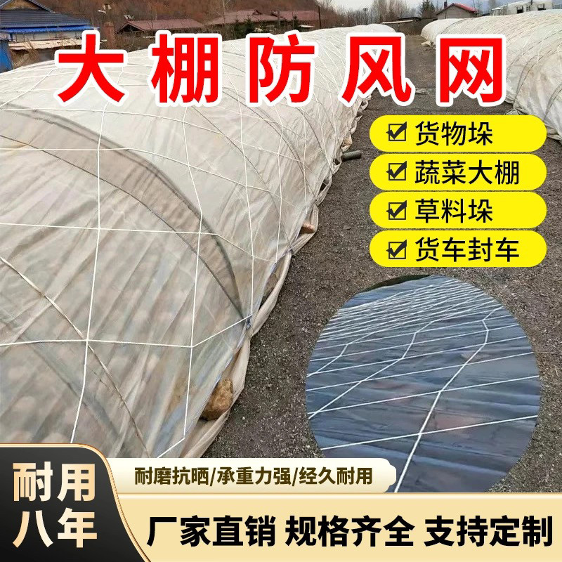 大棚防风网户外防护网抗老化暴晒农用大孔压膜绳网养殖挡风网大棚