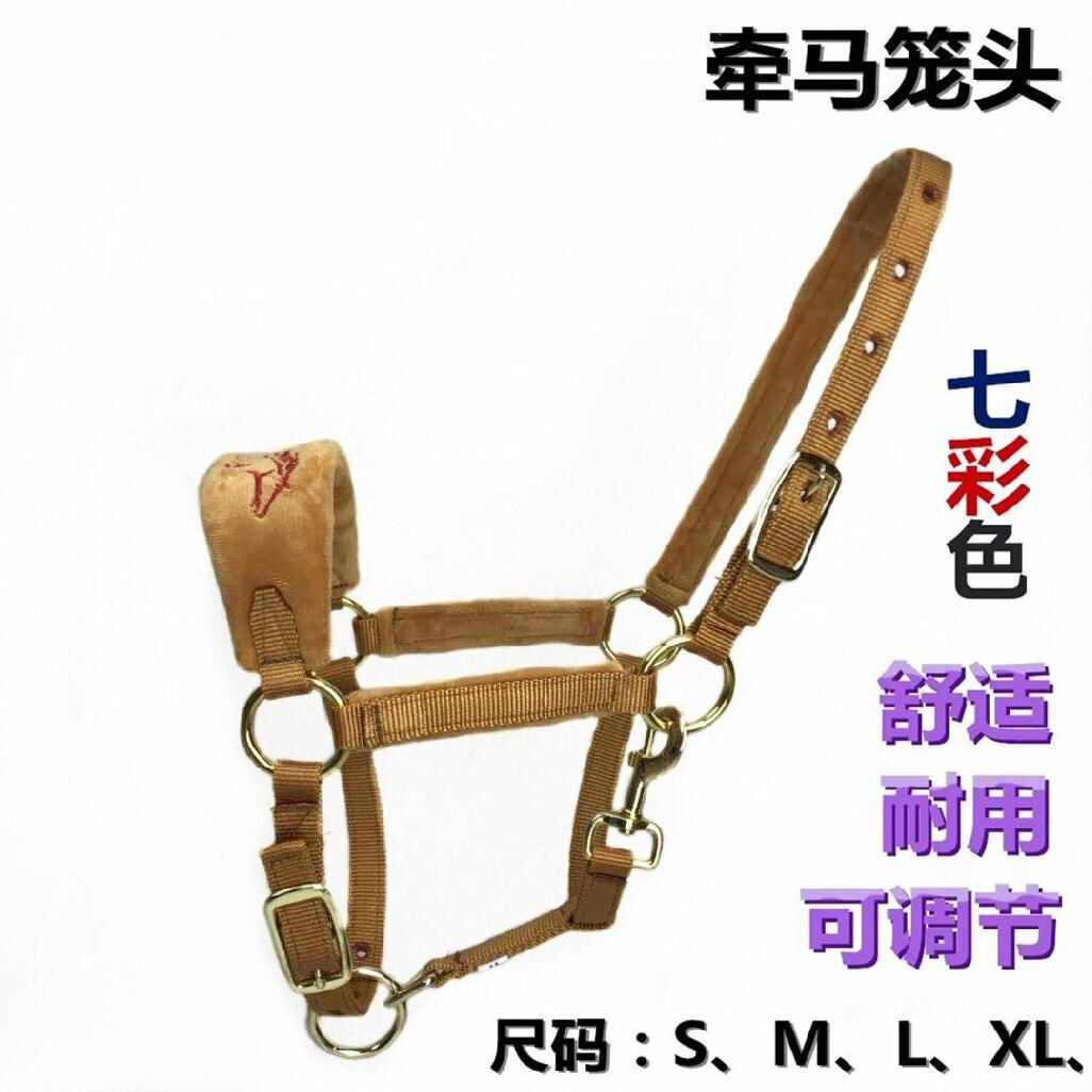 马龙头龙套公园马具马嚼子牢固匹线板配件的蓝色勒大马系马匹练马