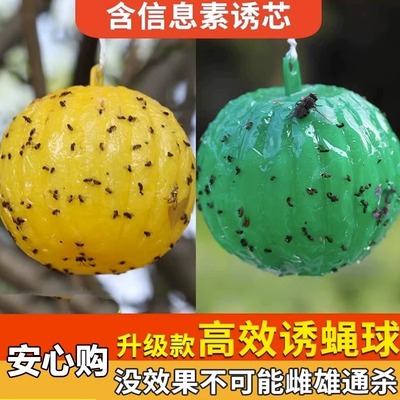 Fruit fly trap, indoor small flying insect extermination to