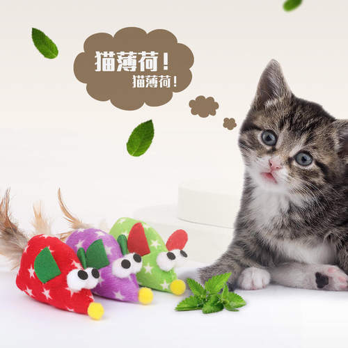 Pet toys including catnip, cat toys with plush feathers, mo