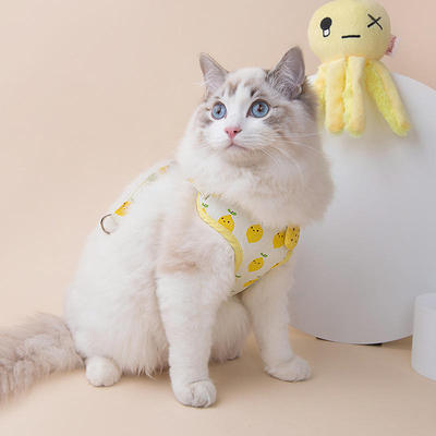 Small and medium-sized dog chest strap with fruit print on