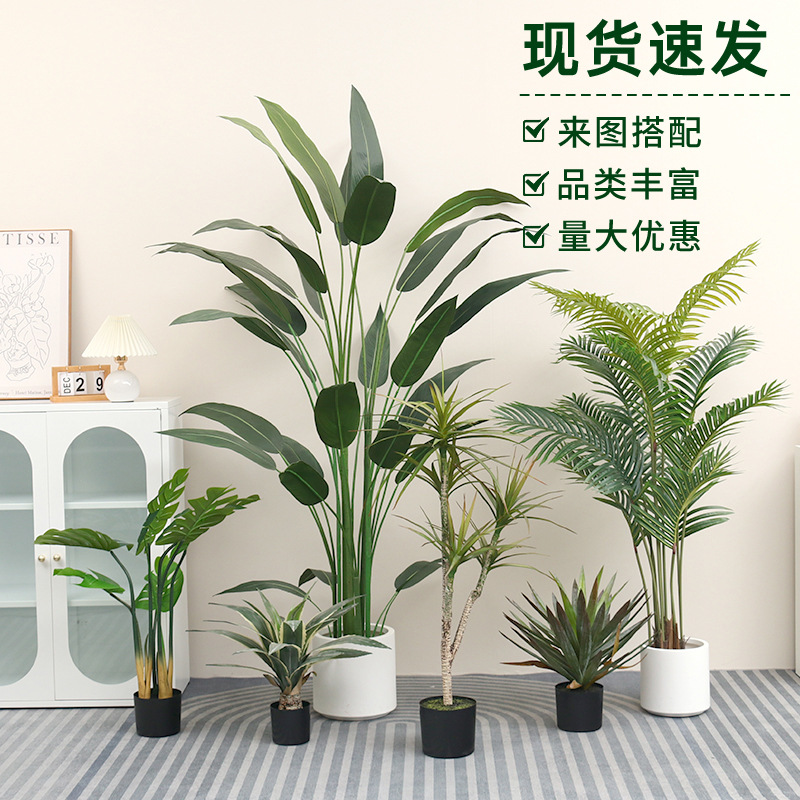 Large scale Nordic simulation plants, travelers, bananas, i