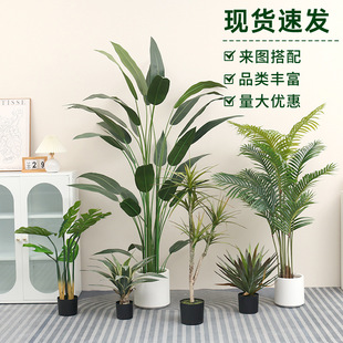 simulation Nordic plants travelers Large bananas scale