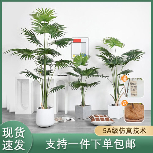 Tropical simulation plant California hibiscus potted indoor
