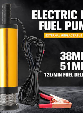 Small submersible oil pump 12V24V DC diesel pump  refuel