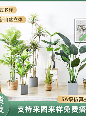 Large scale Nordic simulation plants, living room, simulate