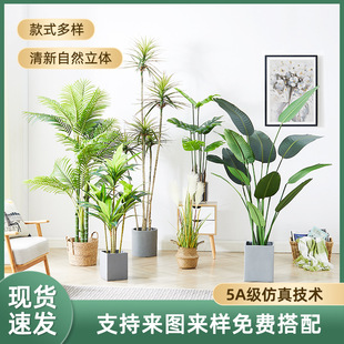 Large scale Nordic simulation plants, living room, simulate