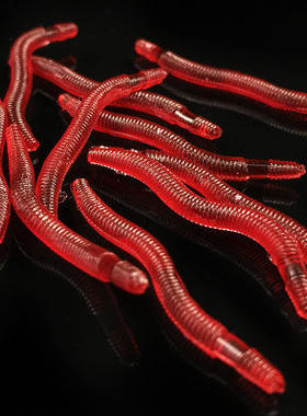 Beizheng Soft Red Worm False Earthworm Road Asia Comprehens