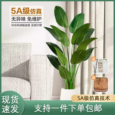 Nordic simulation plants, potted plants, travelers, bananas