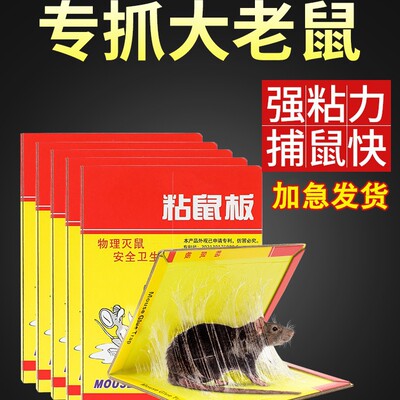 Super strong adhesive board for catching and sticking rats,