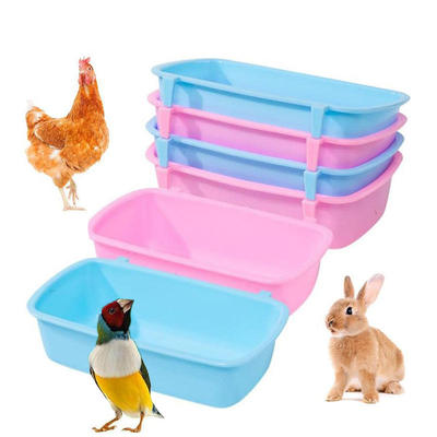 Rabbitfeedingbowlfeedingt