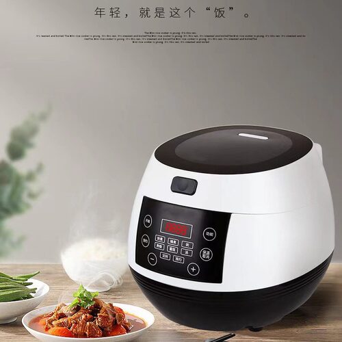 110V220V European Standard Rice Cooker Ball shaped 5-liter