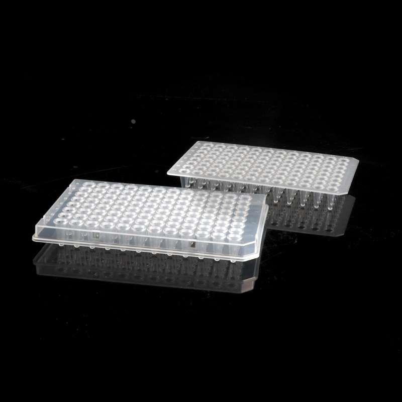 荧光定量PCR板96孔0.1ml0.2ml透明 半裙边 无裙边（单片价）