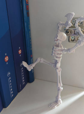 当医学生找到了自己的书童~骨节人偶关节可动立体骷髅人摆件积木
