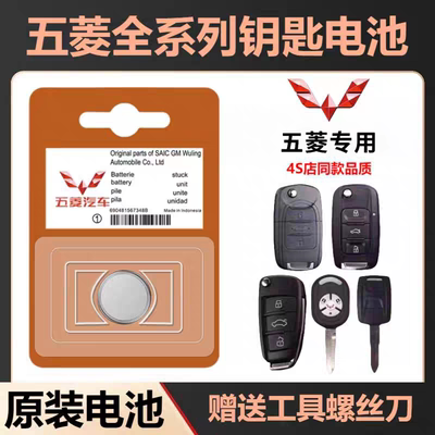 适用五菱宏光S五菱荣光V钥匙电池