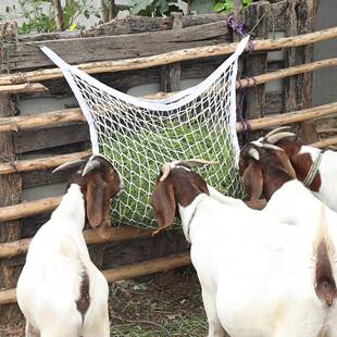 术用马马草袋 大容饲量干草带悬式干喂食挂袋LLV草料料网兜厂家