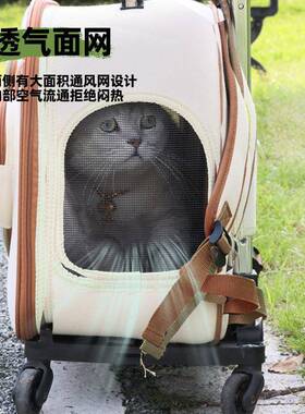 猫包外出便携器LYC08032猫咪背包物宠双肩包书包保暖坐车神狗容狗