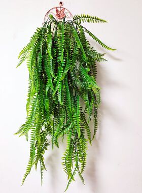 仿真蕨草蕨叶蕨类植物造景绿植家居壁挂酒店软装绿植墙壁装饰挂件