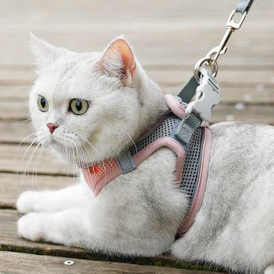 Breathable Cat Harness Leash Escape Proof Pet Clothes vest