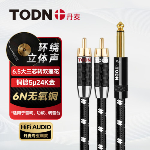丹麦同顿6.5大三芯转2RCA音频线