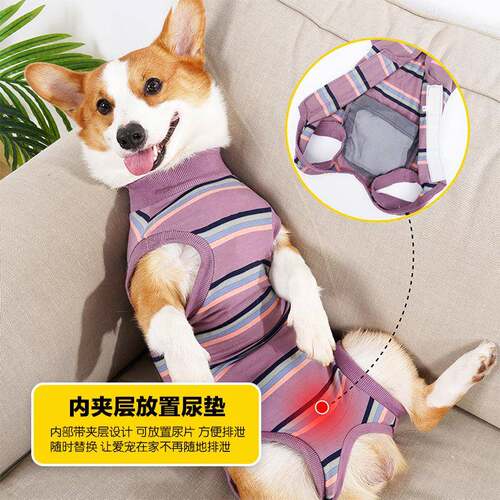 跨放境宠用品狗狗衣服术贴绝育服生YA002B11理魔服可尿垫康复物服
