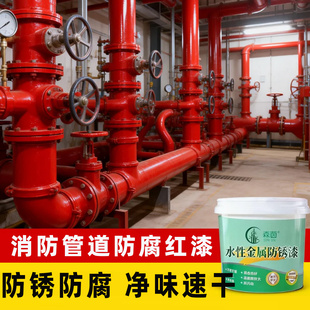 消防管道专用漆消防栓大红色油漆铁红金属防锈漆免除锈自刷涂料SY
