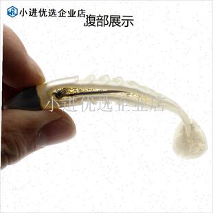 双色铅头软鱼T尾鱼型仿生饵13cm26g/10cm15P.5g曲柄钩路亚假饵鲈\