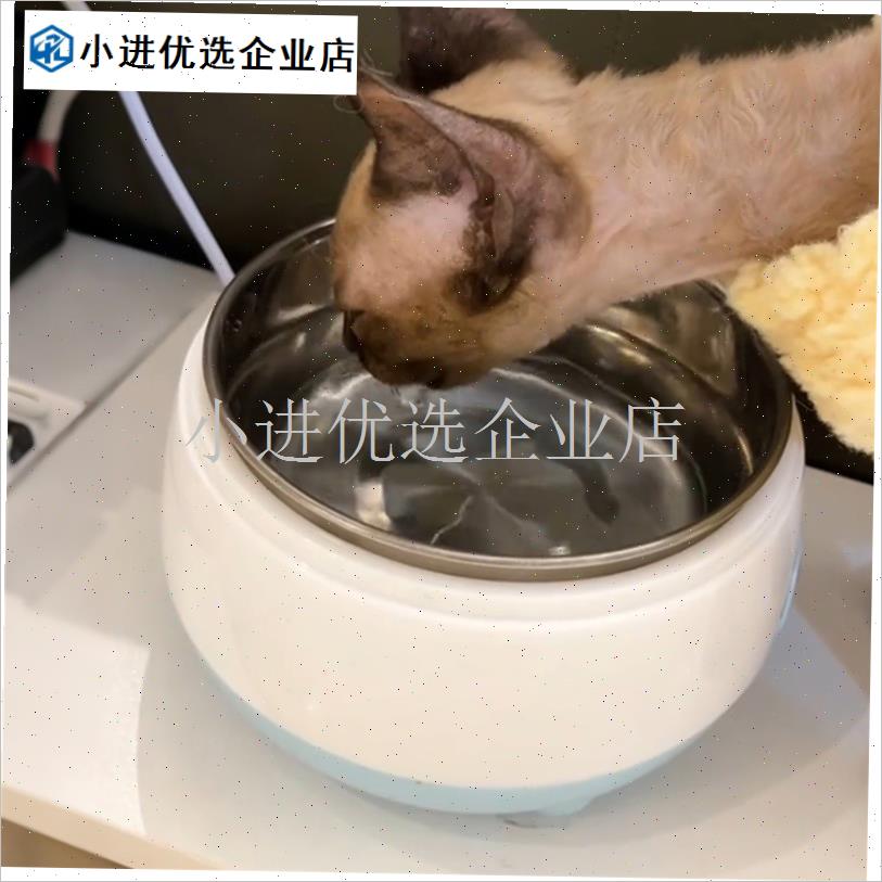 猫咪恒温饮水机冬天家用加热猫碗充电款饮N水器狗狗宠物水碗用品\