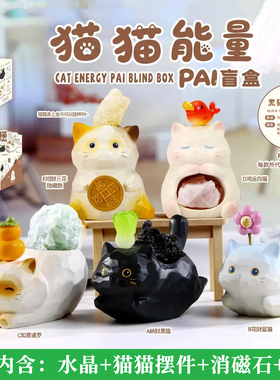 正版猫猫能量PAI盲盒水晶摆件可爱黑猫暹罗猫原石小豆丁生日礼物