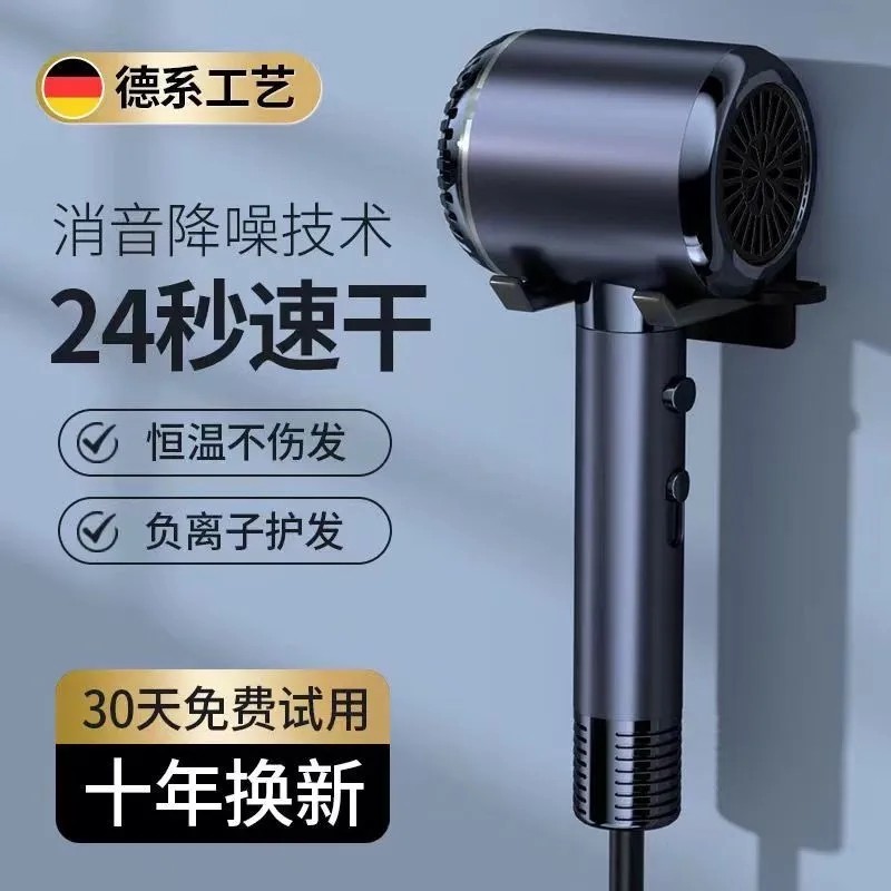 德国电吹风机家用发廊理发店专用发风筒大功率负速干离子静音护