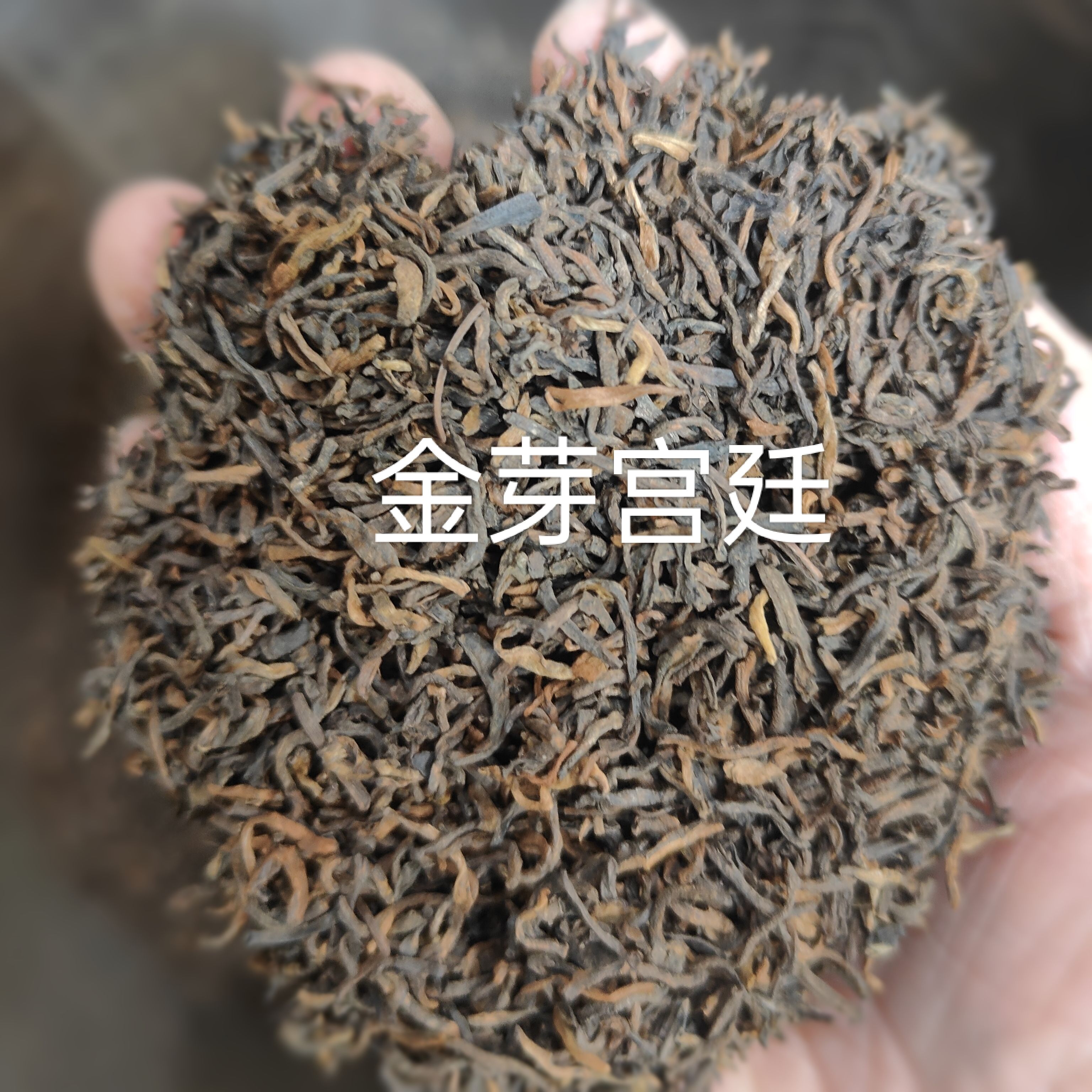 陈年普洱茶尾货清仓特价特级宫廷金芽熟茶散茶500克
