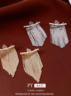 14k真金电镀银针锆石流苏耳环欧美个性时尚耳钉轻奢感耳饰女