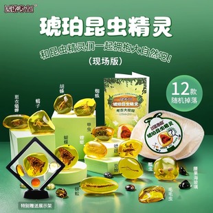 琥珀昆虫精灵儿童挖宝藏玩具男孩生日礼物节日礼物幼儿园