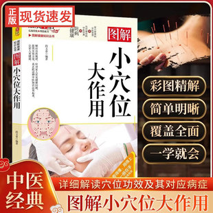 图解小穴位大作用 对其位置功效对应病症进行详细解读 段玉春 了解人体重要穴位 掌握基本穴位知识和常用穴位 著 图解健康知识丛书
