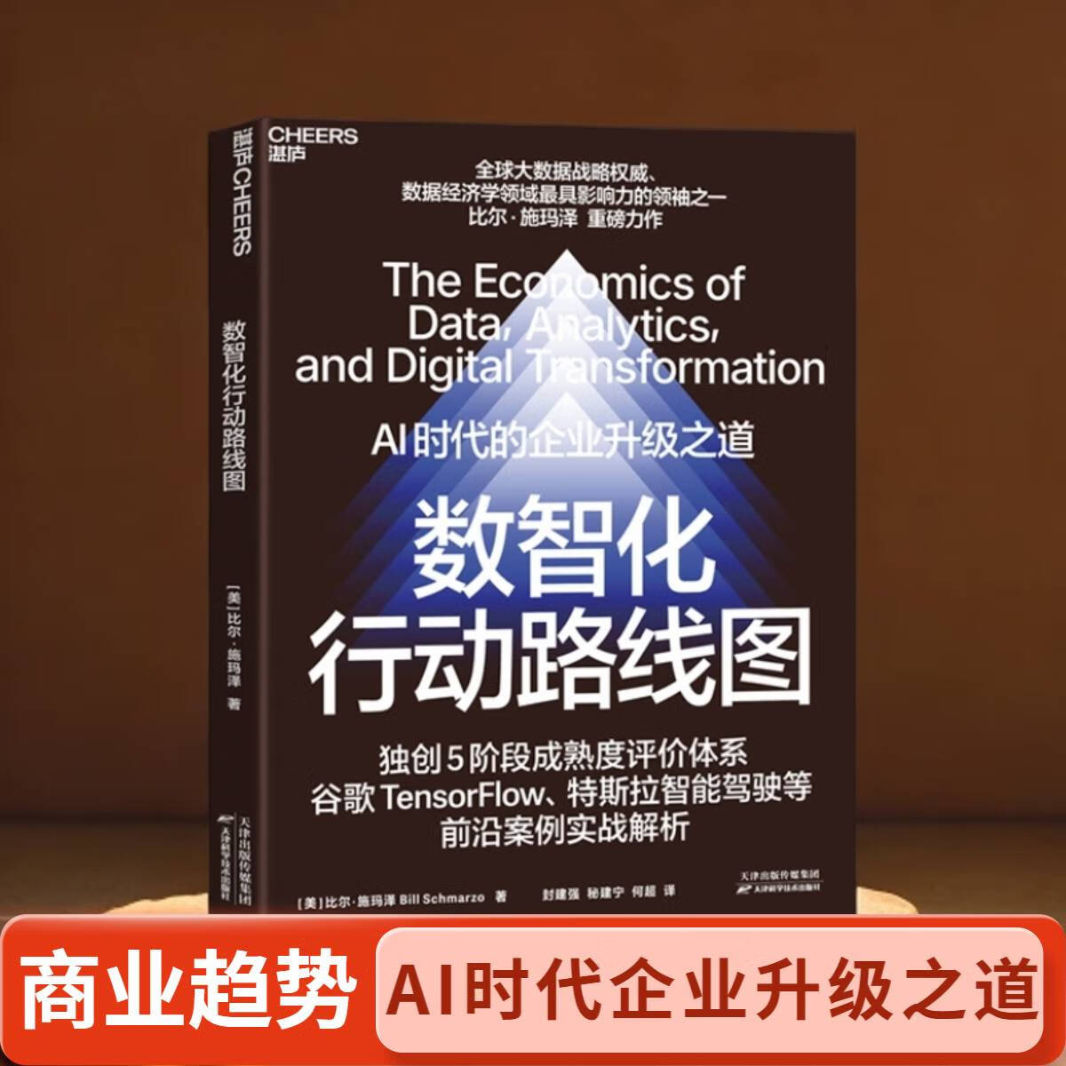 【现货正版】数智化行动路线图 全球大数据战略权威 数据经济学领域蕞具影响力领袖之一 比尔·施玛泽 DU创5阶段成熟度评价体系