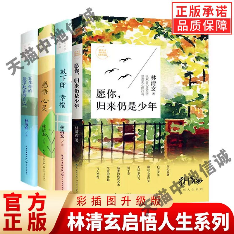现货正版全套4册林清玄启悟人生