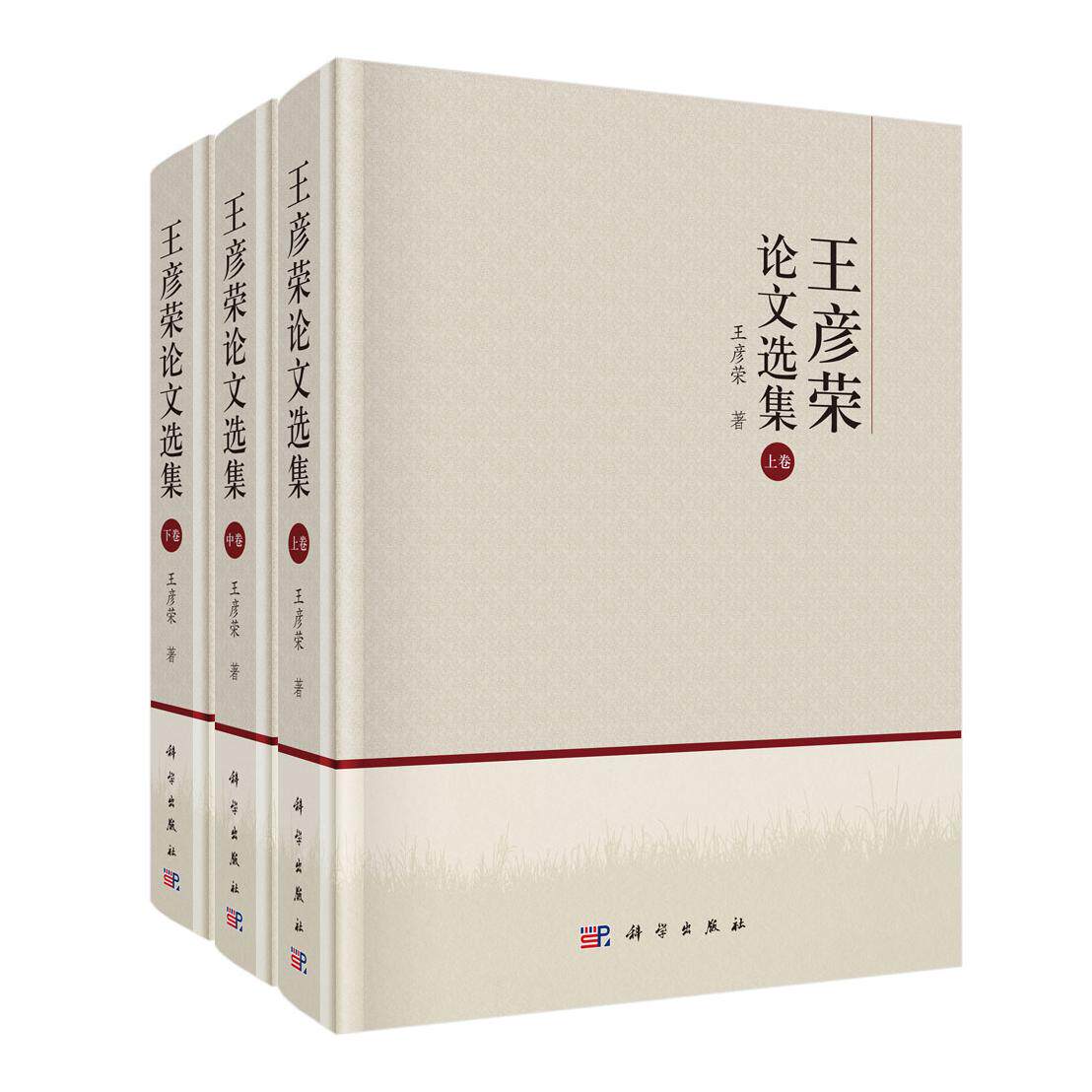王彦荣论文选集 9787030830548