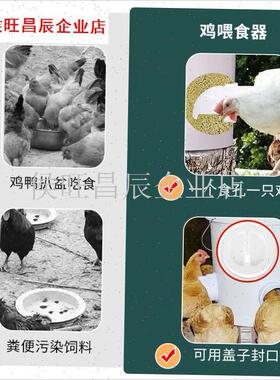鸡食槽自动c喂食器家禽下料器二合一防撒鸭鹅鸽饲料桶喂鸡食神器