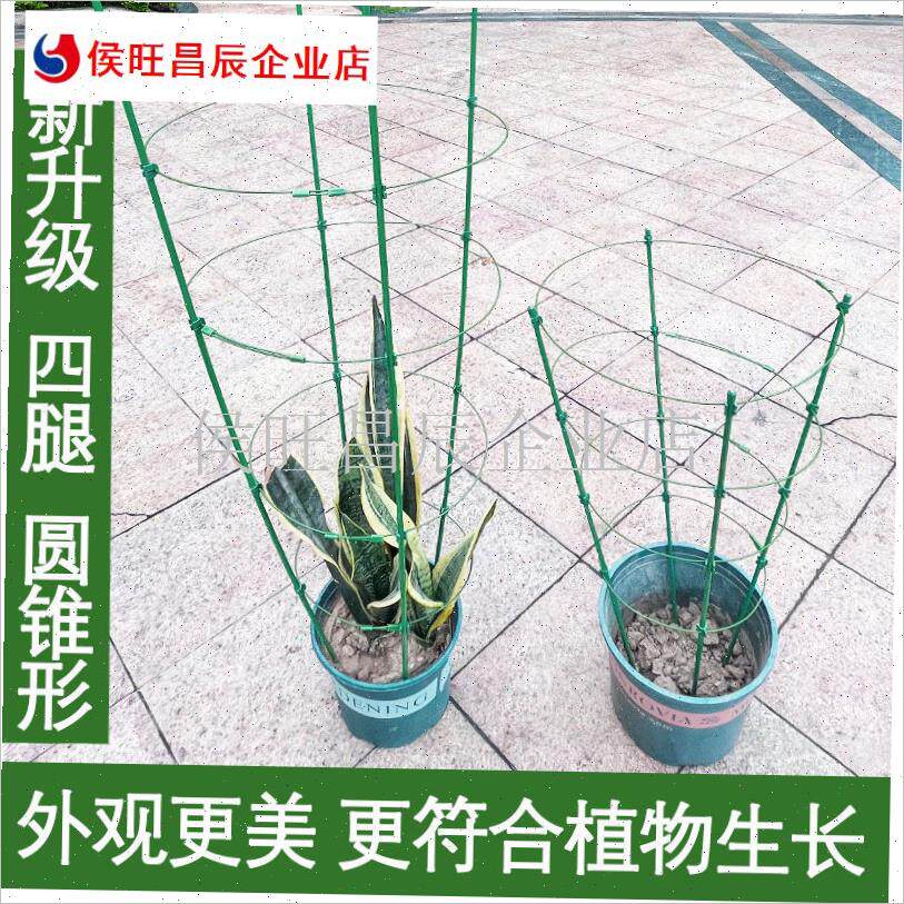 花专用支架爬藤花架月季蟹爪兰绿箩可J伸缩阳台绿植攀爬花卉支架