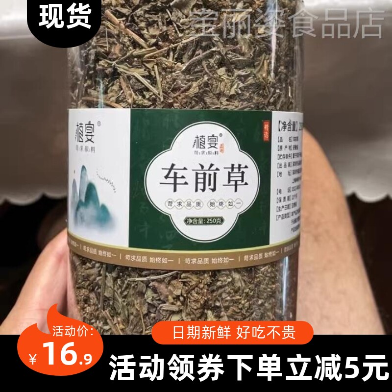 【优选】车前草中药材500g新鲜干货泡水喝袋泡茶野生干金钱草蒲