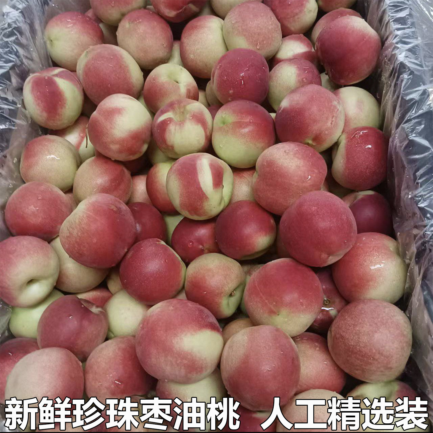 现摘新鲜小油桃珍珠枣油桃