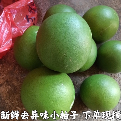 现摘新鲜小柚子柚子皮新车除异味新房装修去味神器三红柚皮除甲醛
