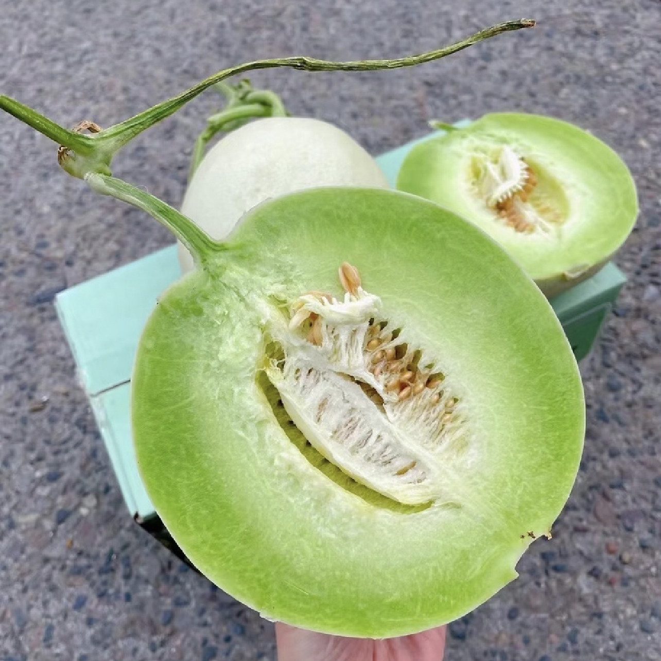 正宗玉菇甜瓜新鲜水果整箱当季香瓜蜜瓜冰淇淋瓜脆甜蜜瓜