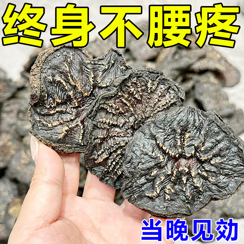 【能痊愈】腰椎突出压迫神经性修复椎间盘疼腰肌损伤腰酸背痛贴膏